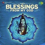 Pt. Raghunandan Panshikar Songs MP3 Download